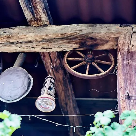 Charming And Osteria La Crisalide Bed & Breakfast Meride