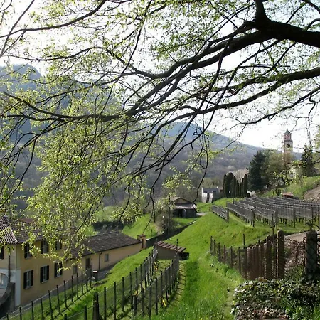 Bed & Breakfast Charming And Osteria La Crisalide 3*
